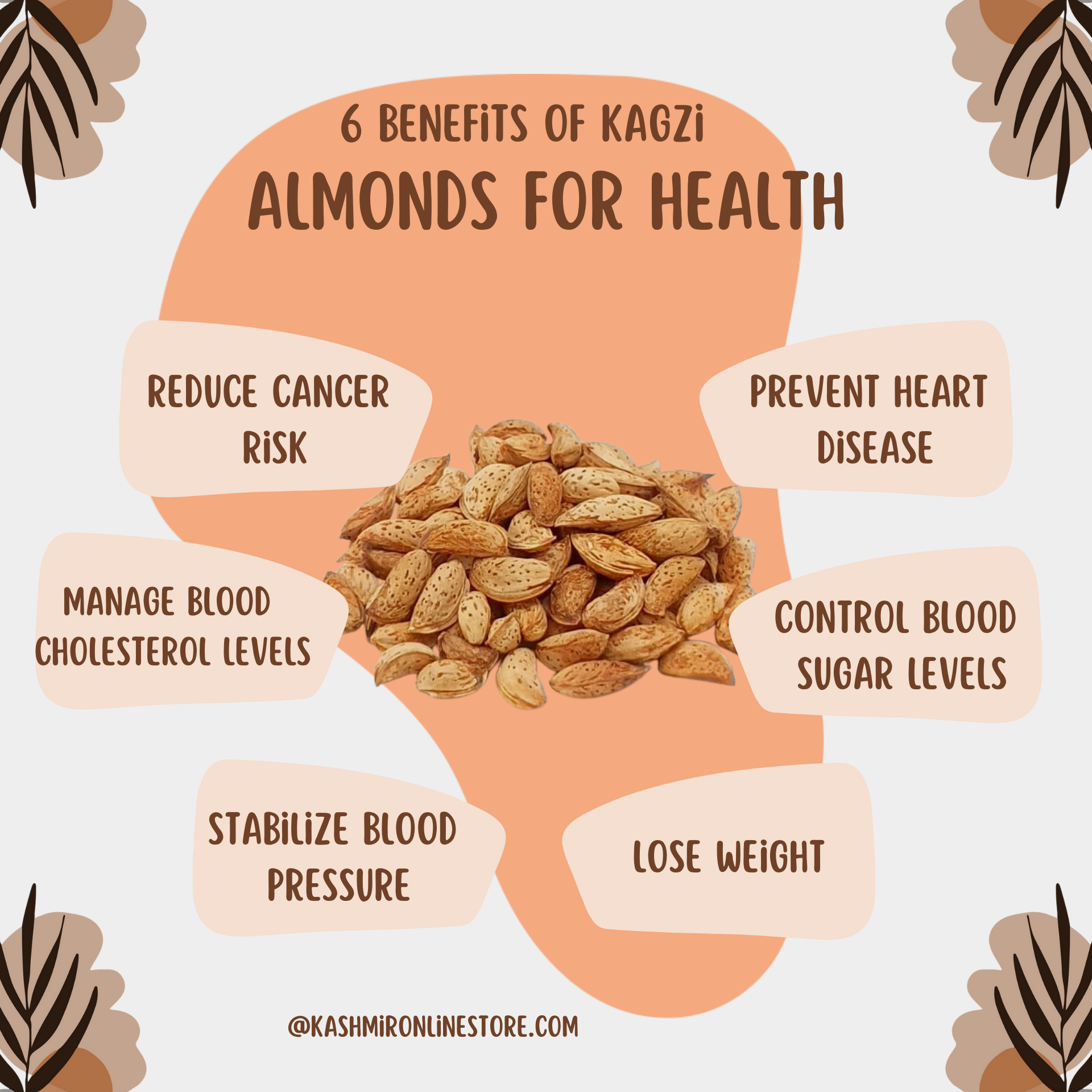 Premium Quality Kashmiri Kagzi (Badam)