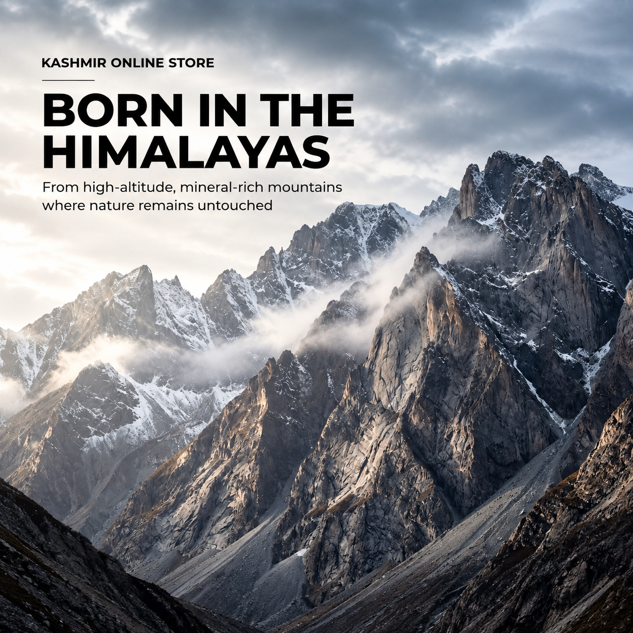 Himalayan Shilajit Resin in Traditional Ayurvedic Preparation