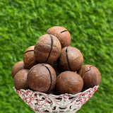 Premium-Quality Macadamia Nuts With Key - Fresh, Crunchy, and Delicious.