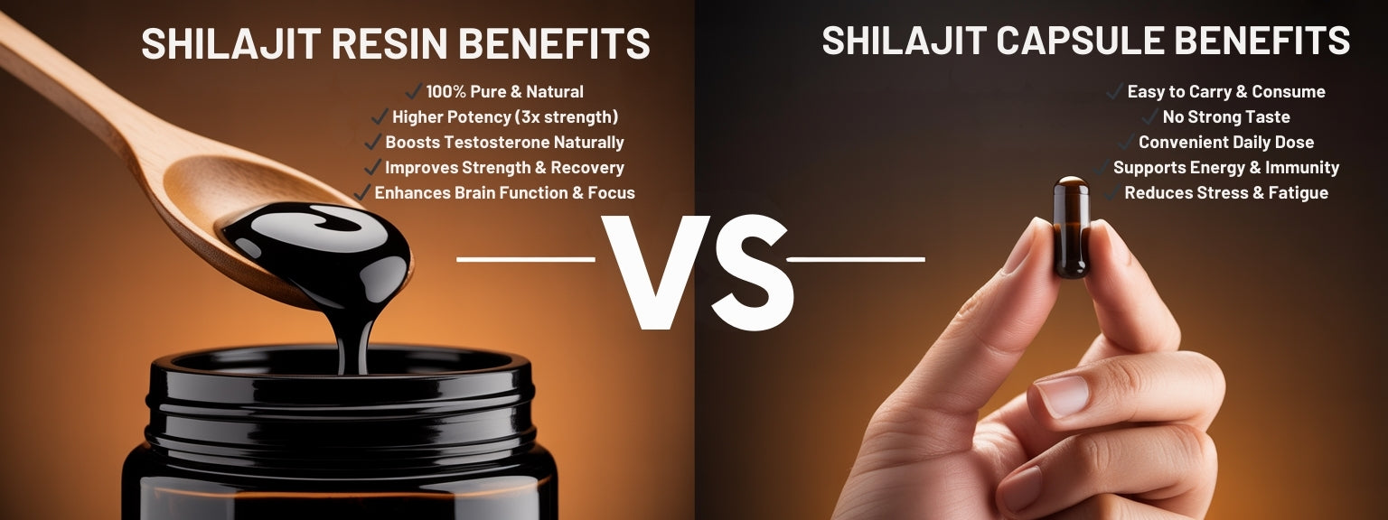 Shilajit Resin vs Shilajit Capsules
