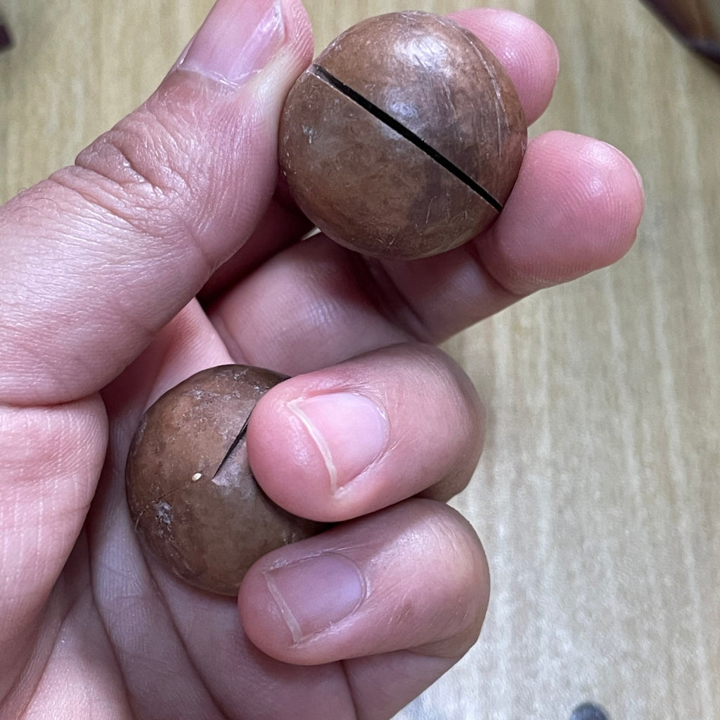 macadamia nuts price