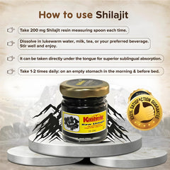 shilajit for men