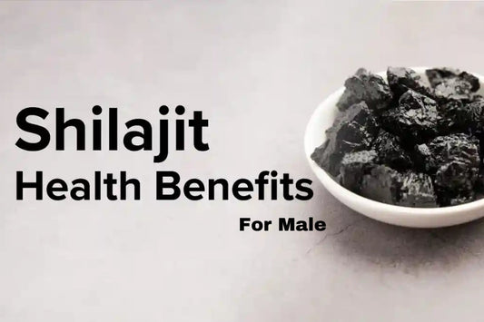 Health benefits of shilajit for male 