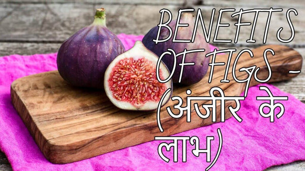 अंजीर के फायदे, तथा नुक्सान – Know The Benefits of Figs in Hindi