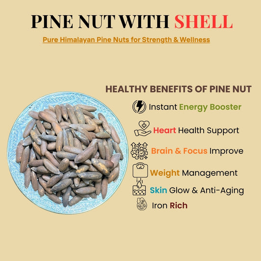 Buy Pine Nuts With Shell (Chilgoza)| A Nutritional Superfood