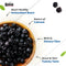 BENEFITS OF DRIED BLUEBERRY