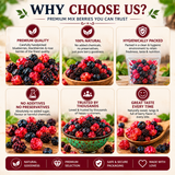 Mixed Dried Berries Fruit Blend