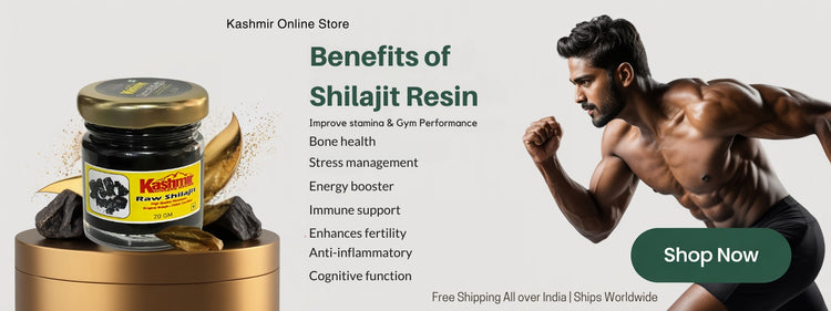 shilajit benefits for male