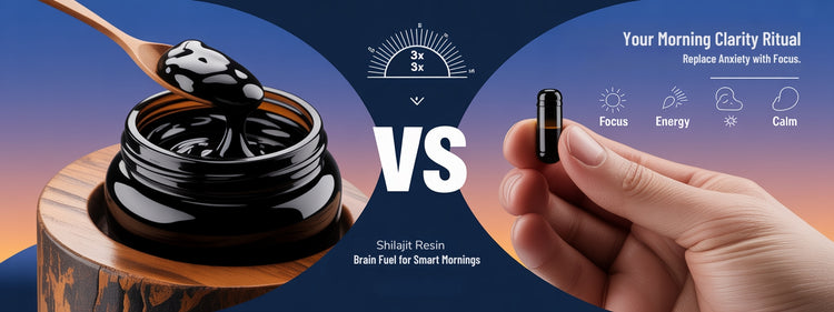 Silajit Resin vs Shilajit Capsules 