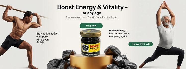 Himalaya Shilajit Resin