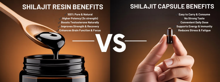 Shilajit Resin vs Shilajit Capsules 