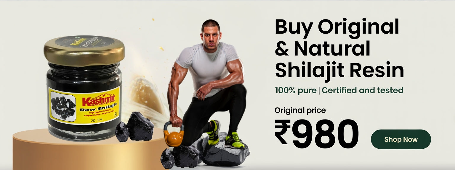 Original Shilajit Price in India