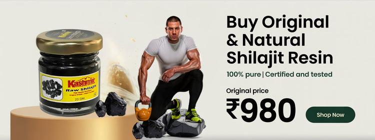 Original Shilajit Price in India