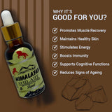 shilajit benefits for female fertility